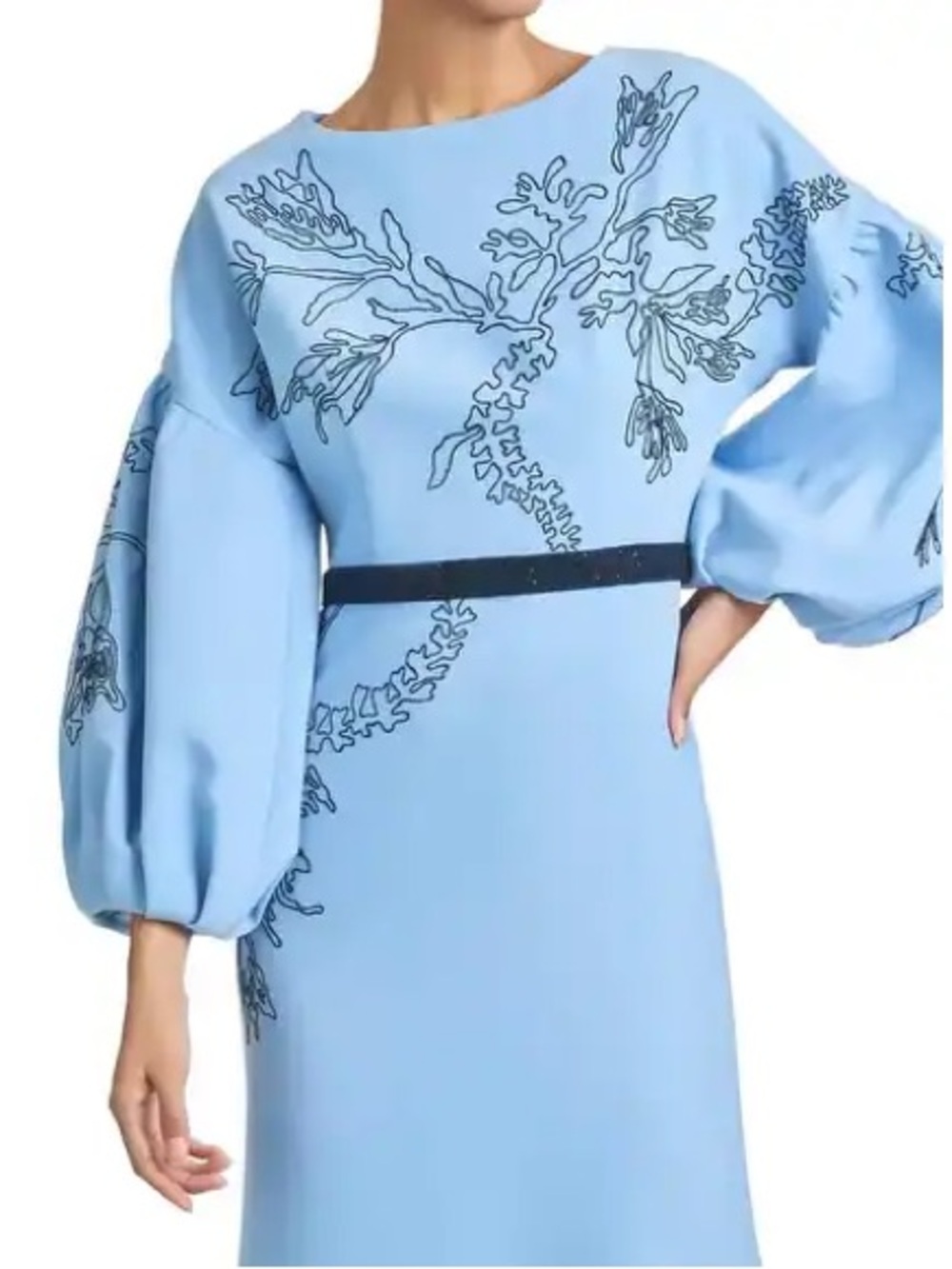 SACHIN & BABI Aria Cornflower Blue Embroidered Gown Maxi Dress NWT $994 - Picture 5 of 6